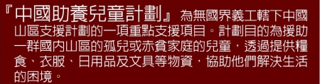 無國界義工